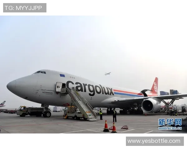 广州龙狮25-26赛季征程回顾止步八强展现顽强拼搏精神