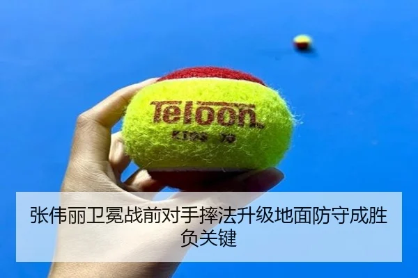 张伟丽卫冕战前对手摔法升级地面防守成胜负关键