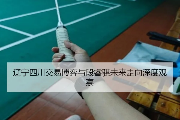 辽宁四川交易博弈与段睿骐未来走向深度观察